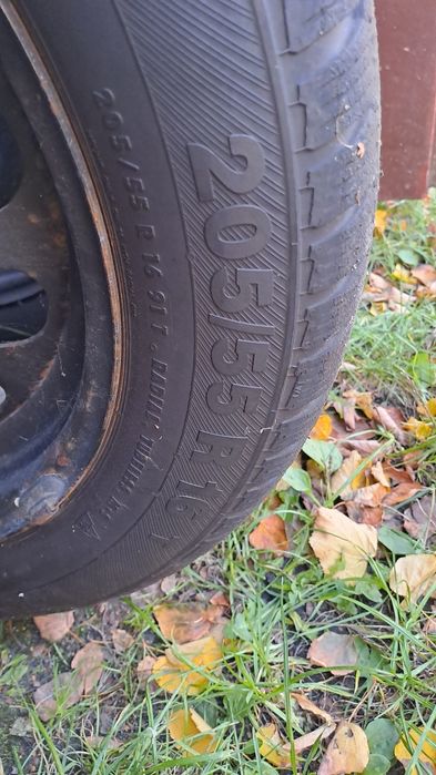 Opony zimowe Barum Polaris 205/55 R16