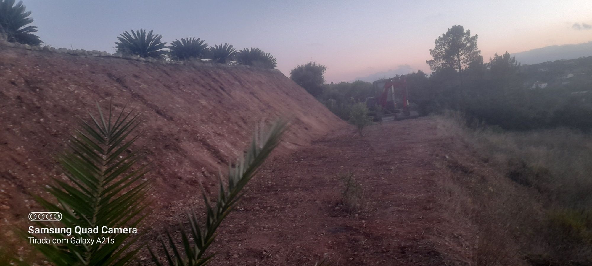 Limpesa de terrenos e jardinagem