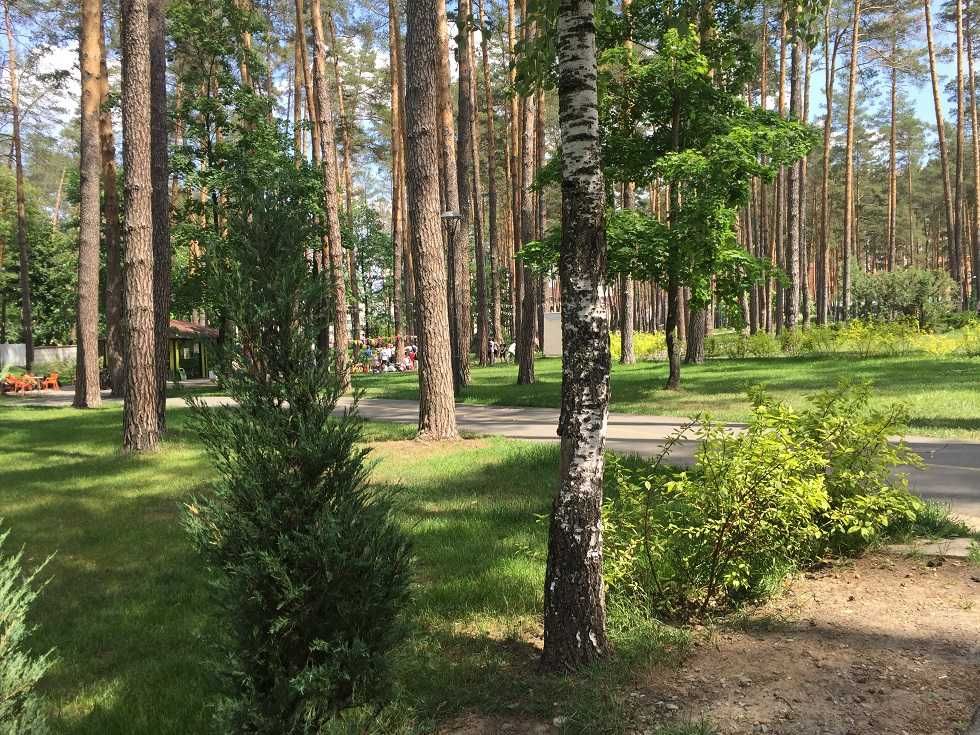 Здам в оренду 1к квартиру біля Центрального парку