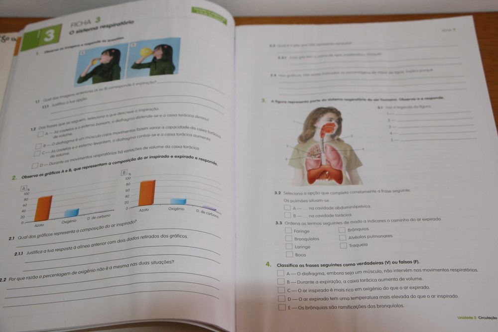 Caderno de Atividade - "Ciências da Natureza" 6º ano
