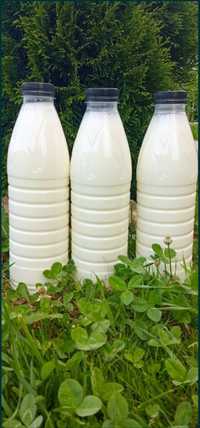 Продам молоко від англо-нубійських козочок