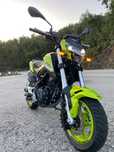 Benelli TNT 125 ano 2023
