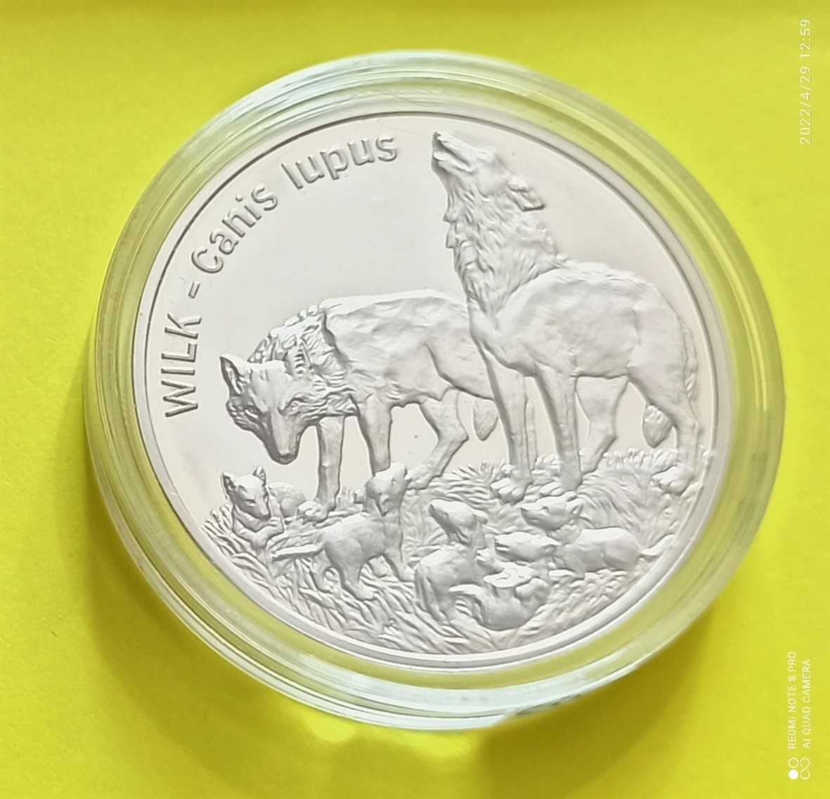 20 zł 1999 Wilk moneta kolekcjonerska
