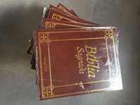 Bíblia Sagrada em 15 volumes