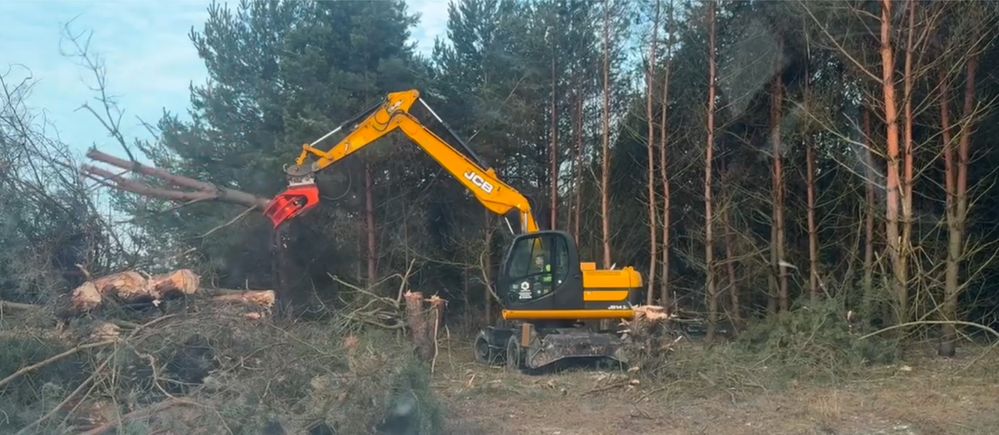 Wycinka Sadów Kompleksowe karczowanie samosiejek lasow zarośli