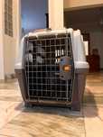 Caixa transportadora SKUDO para cão