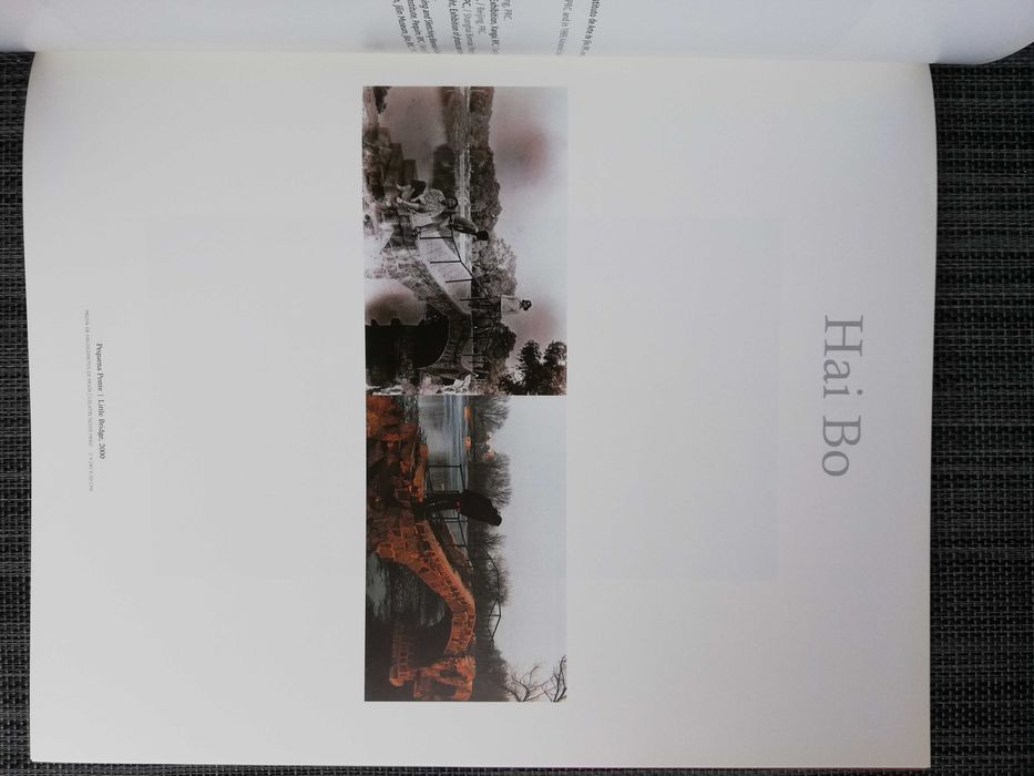 Arte Chinesa Contemporânea (portes grátis)