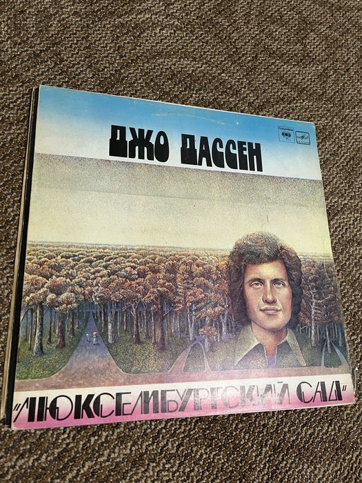 Виниловые пластинки