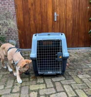 Переноска клетка SKUDO бокс авиа для собак размеры от №1,2,3,4,5,6,7