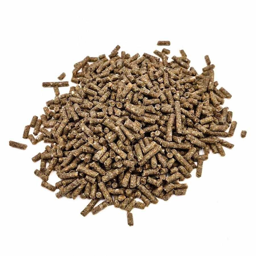 PASZA dla królików GRANULAT 10 kg KOJPASZ