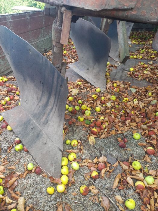 Продам 4-х корпусний плуг