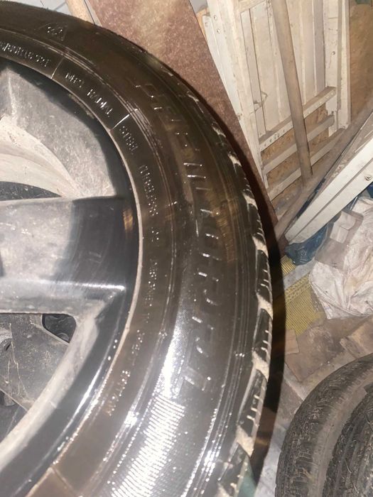 шини зимові Premiorri ViaMaggiore 205/55 R16