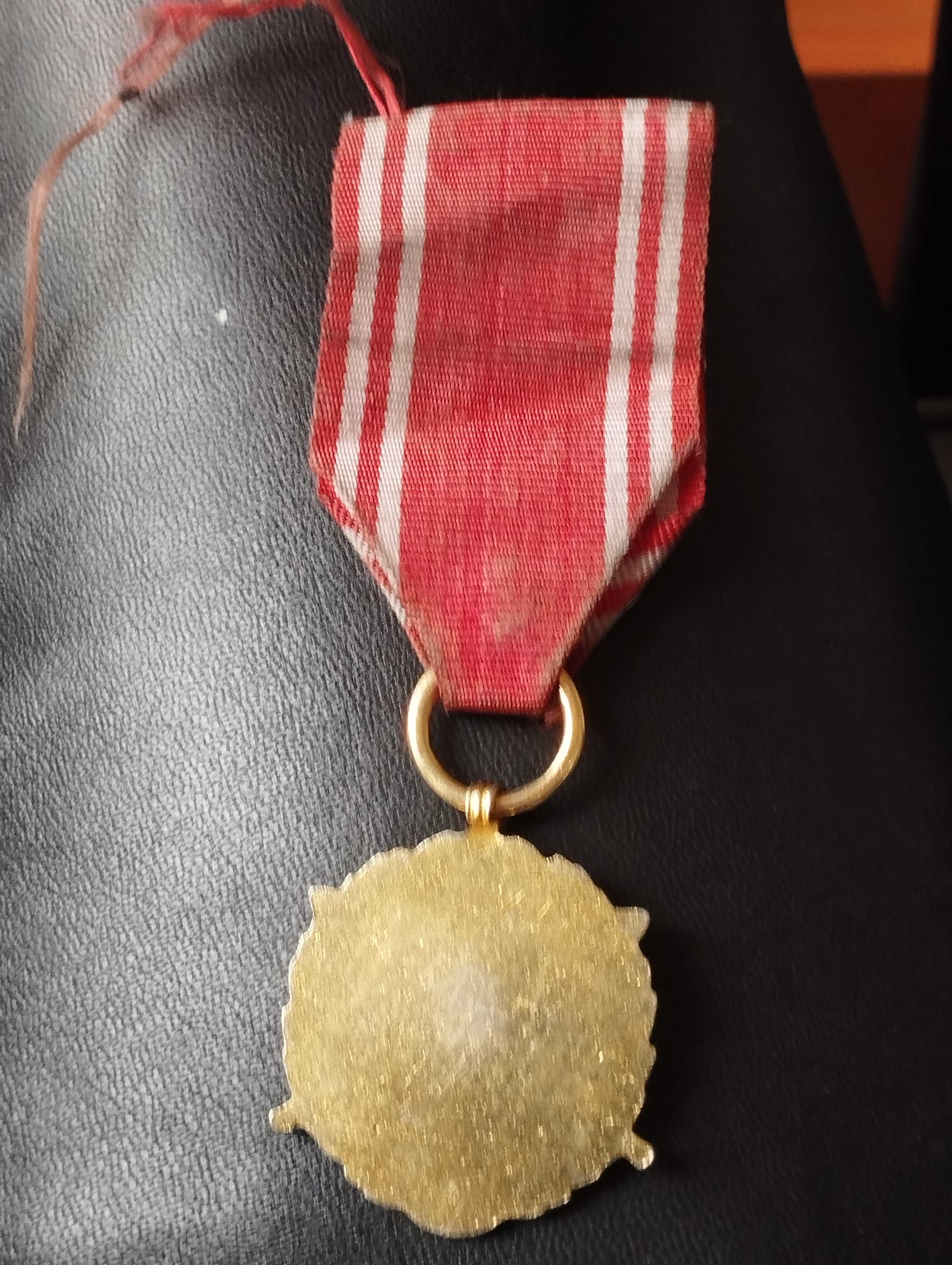 medal - odznaczenie siły zbrojne w służbie narodu XX-LECIE