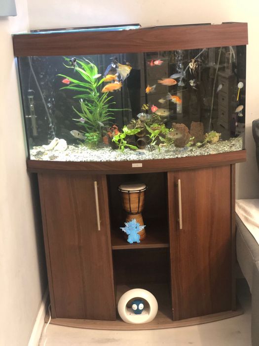 Аквариум juwel vision 180