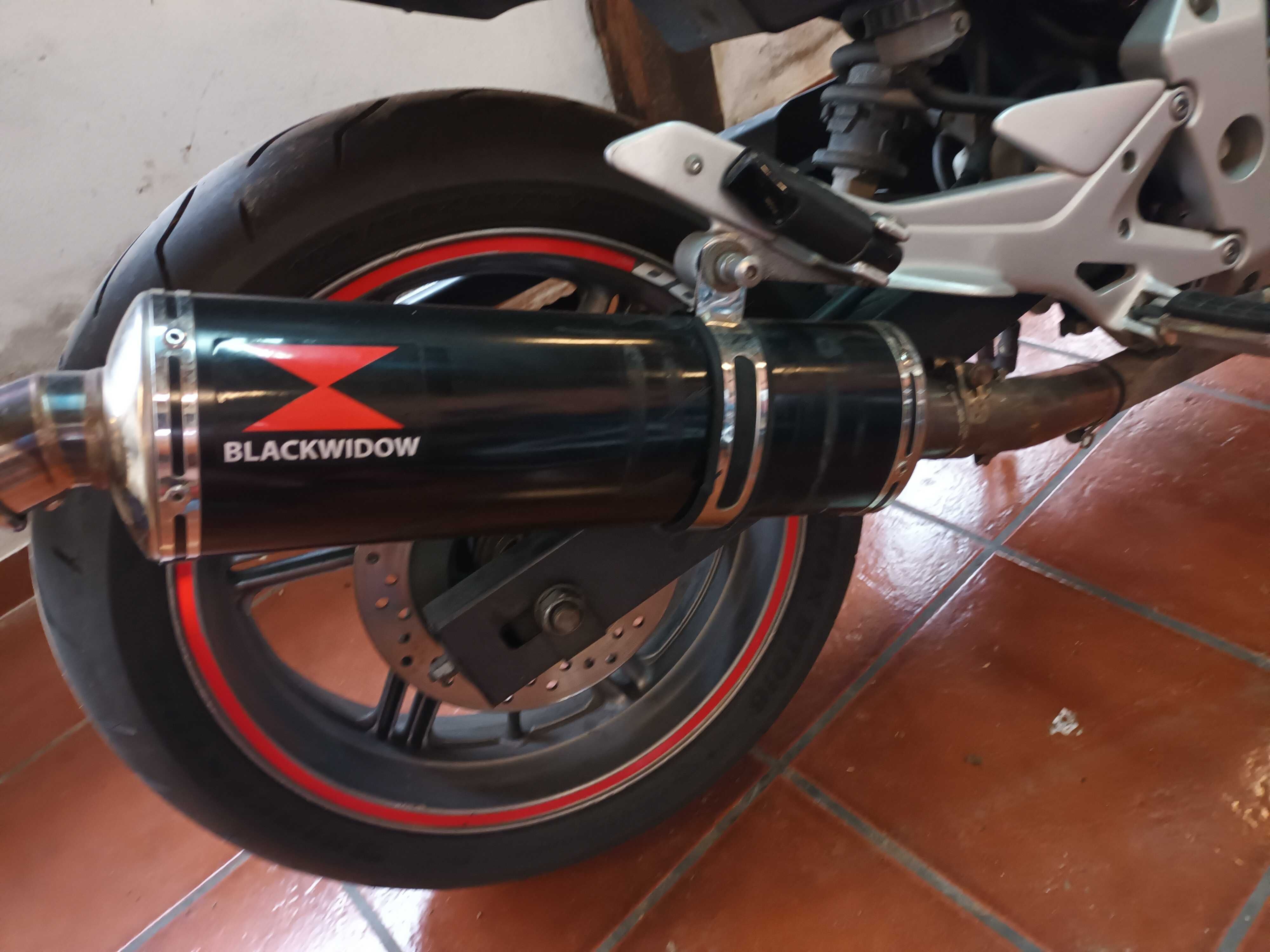 Escape blackwidow cbf500