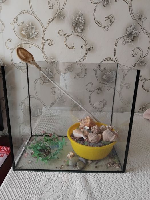 Продам аквариум с ракушками