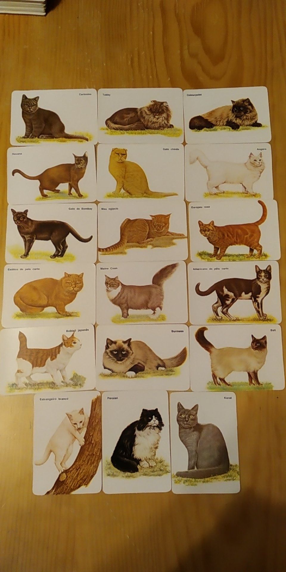 Calendários de bolso de animais