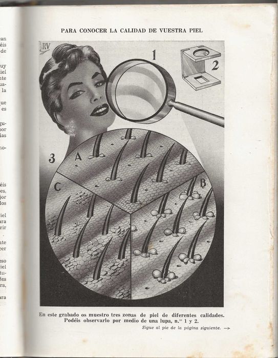 Belleza – 1ª Edición de 1957