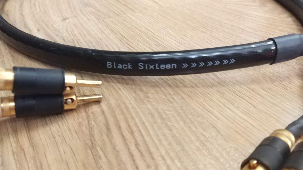 DPA Deltec Black Sixteen - kabel głośnikowy