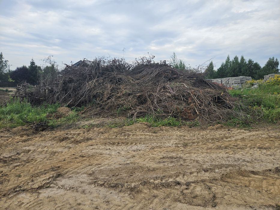 Oddam za darmo gałęzie mozliwosc zaladunku