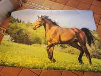 Fototapeta - naklejka na ścianę
