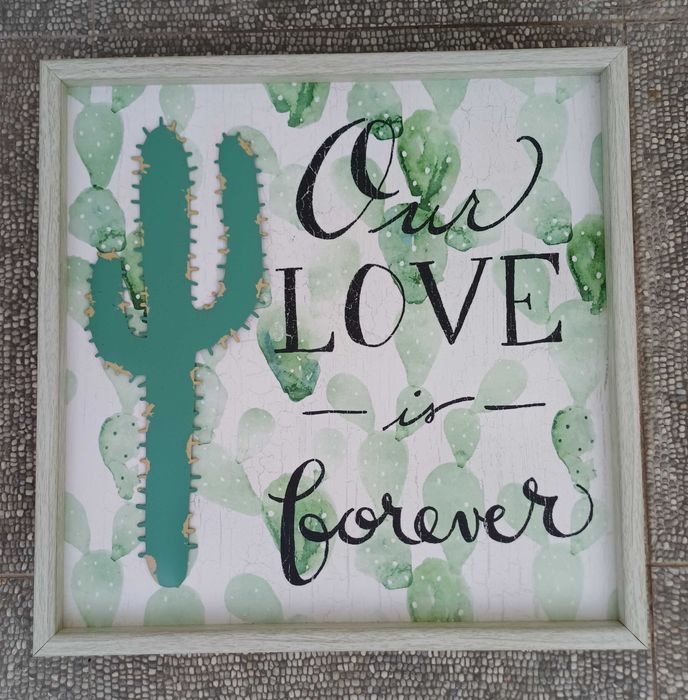 Conjunto de 2 quadros com catos