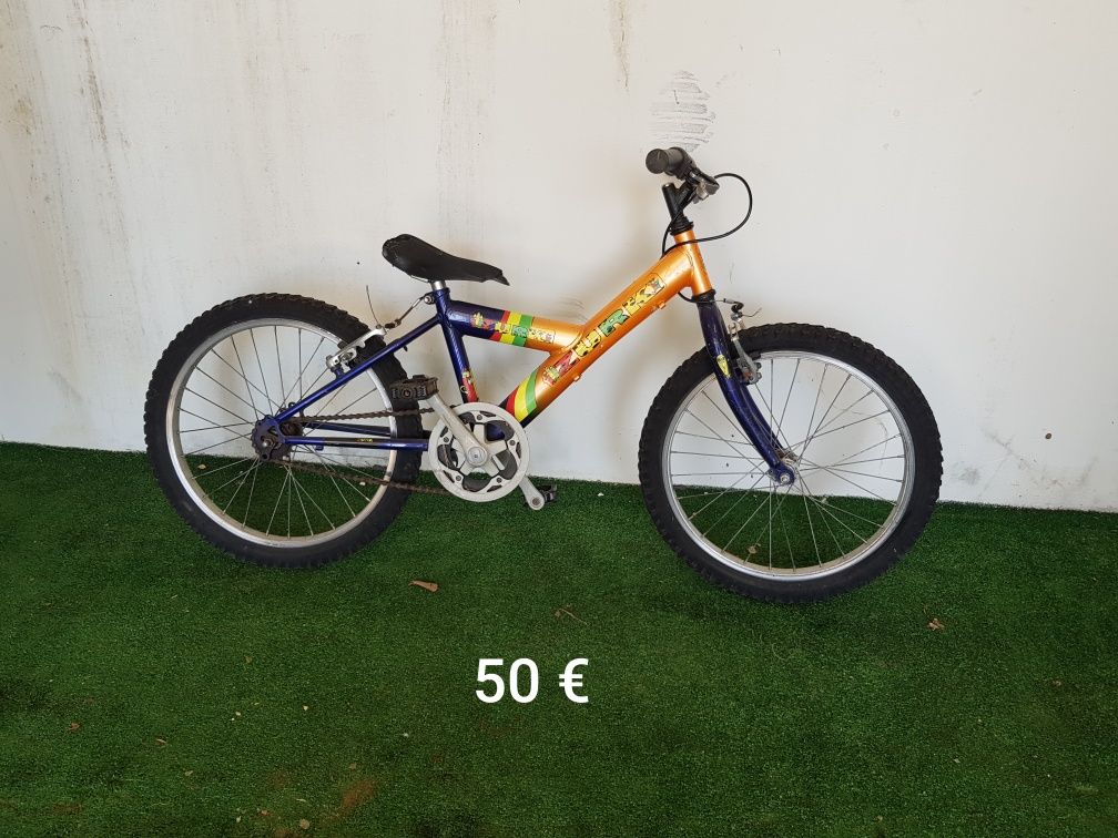 Bicicleta vários preços