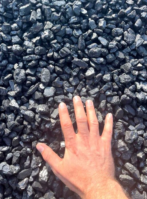 Екологічне паливо нового покоління — брикети RUF, PINI KAY, NESTRO