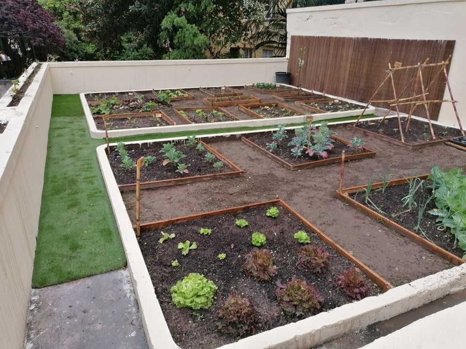 Jardineiro - Limpeza e manutenção de jardins e Hortas biológicas