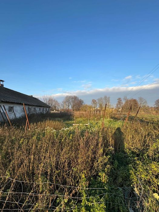 Stajnia na wynajem – Parzęczew, woj. łódzkie, przy A2