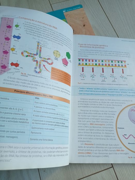 Manual Biologia e Geologia 11* ano Porto Editora