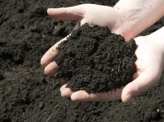 Czarnoziem Ogrodowy Ziemia Podniesienie Terenu Trawnik Ogrodowa humus