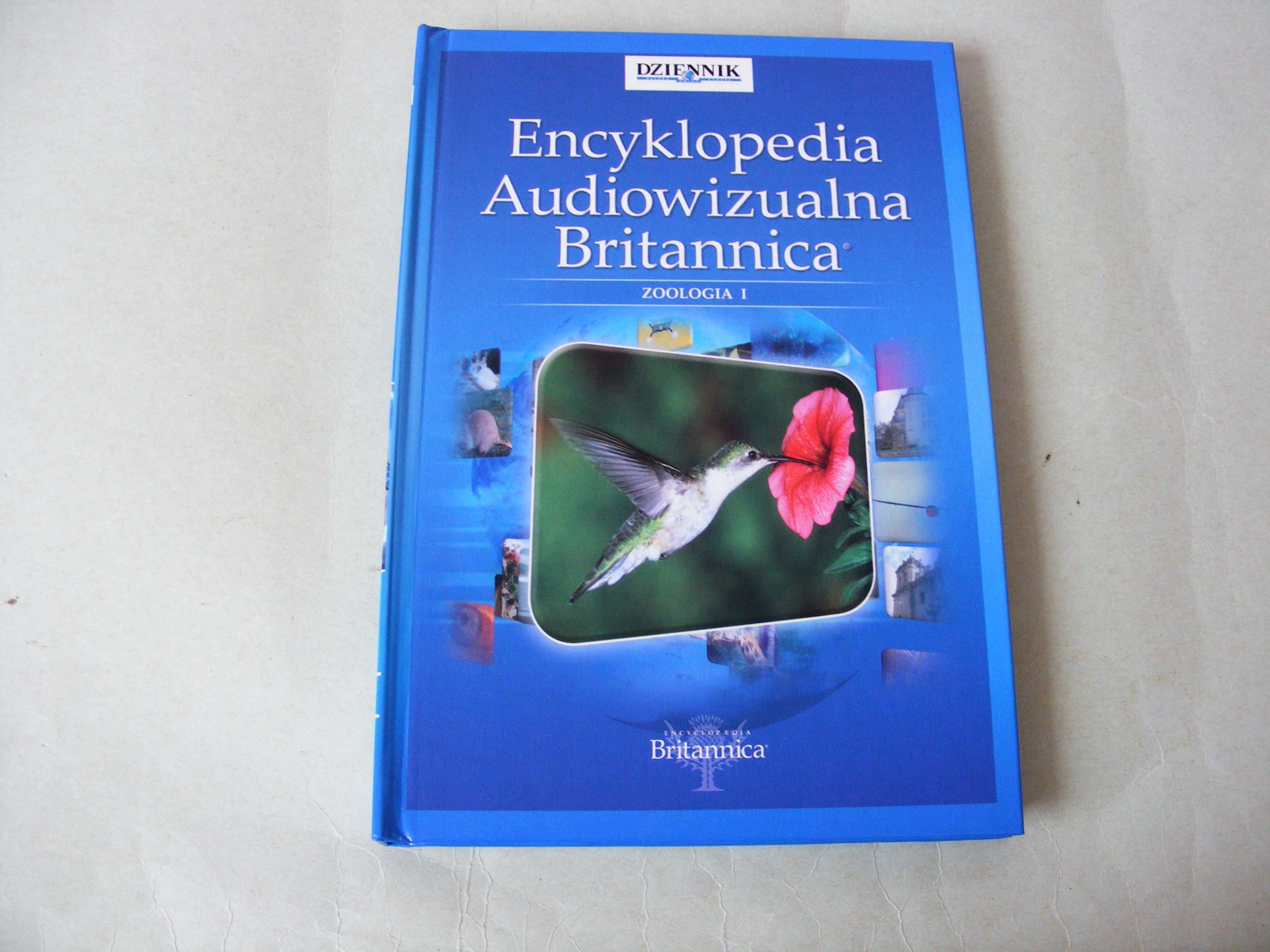 Popularna encyklopedia  Encyklopedia Gazety Encyklopedia Audiowizualna