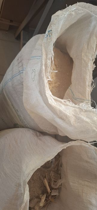 Odpady sklejki,drewna, płyt wiórowych