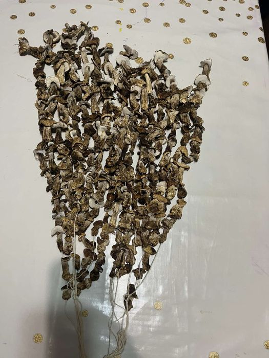 Продаються білі сушені гриби