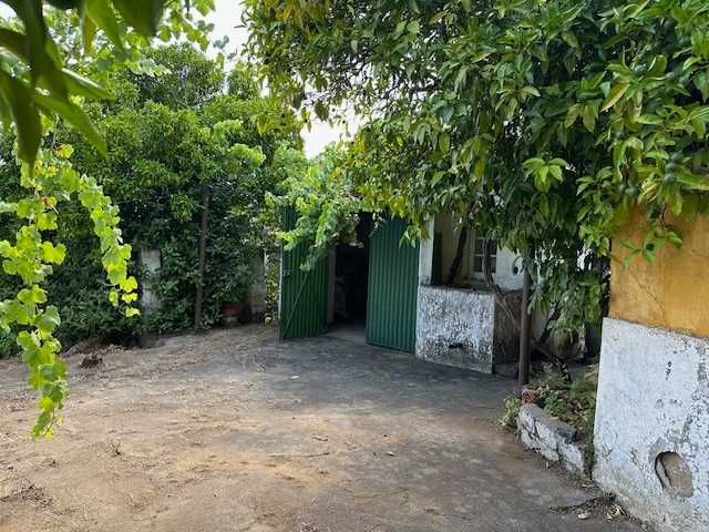 venda de imóveis em valhascos (sardoal)