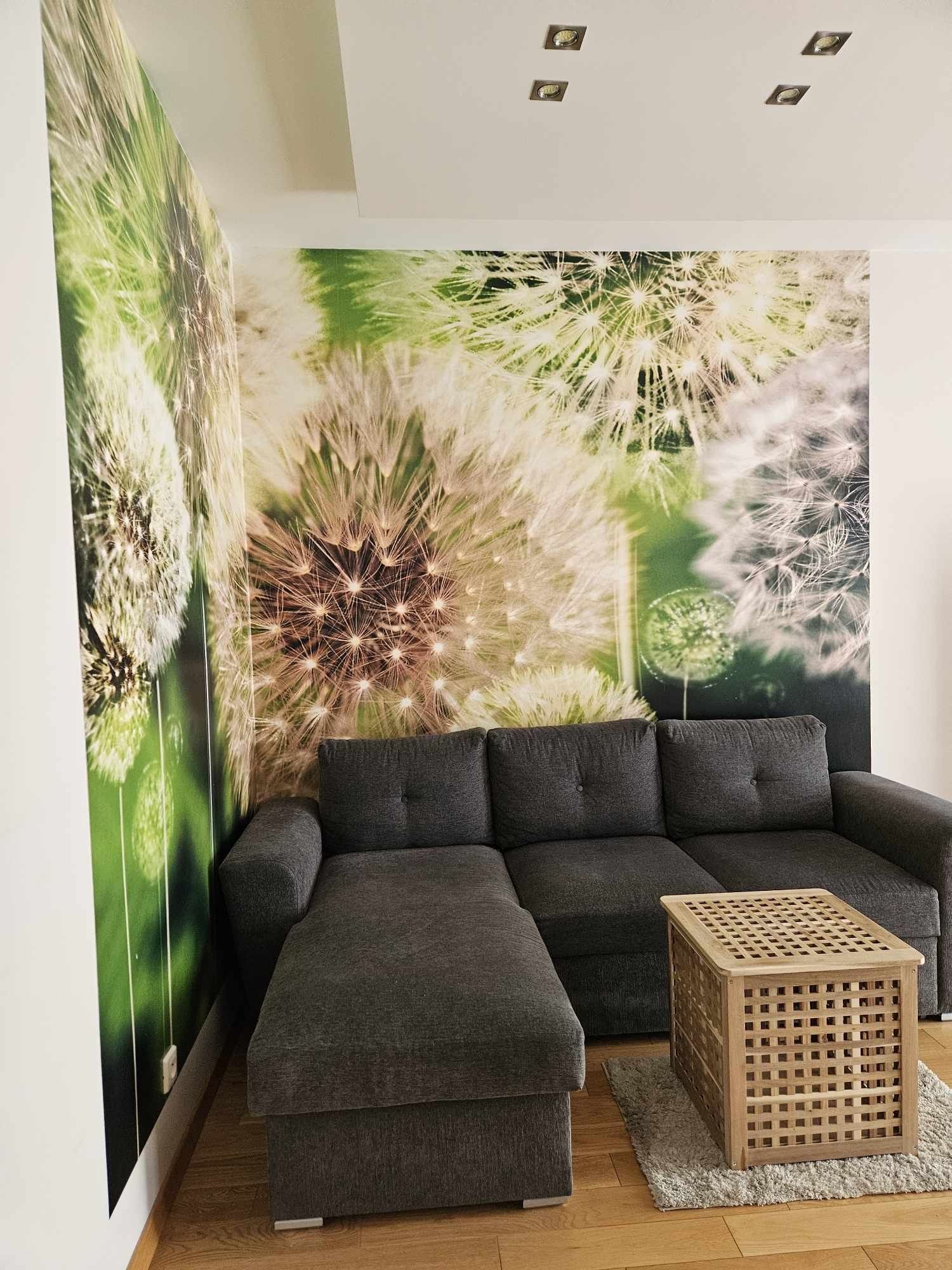 2 pokojowe mieszkanie, balkon, komórka do wynajęcia