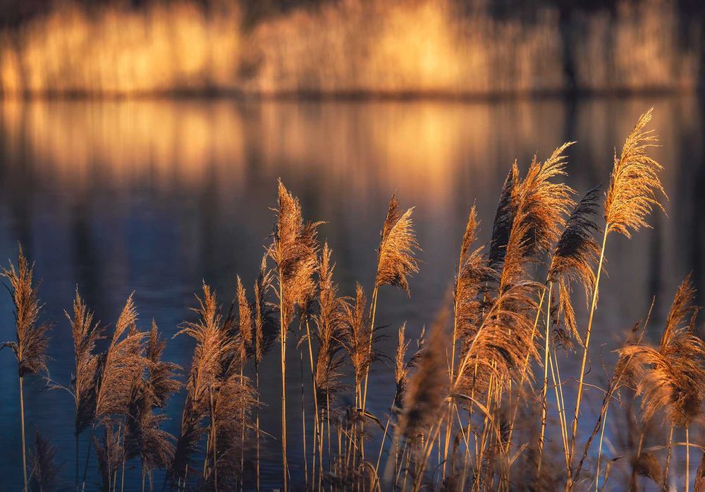 Kopanie stawów roboty ziemne usługi koparka long Wynajem maszyn