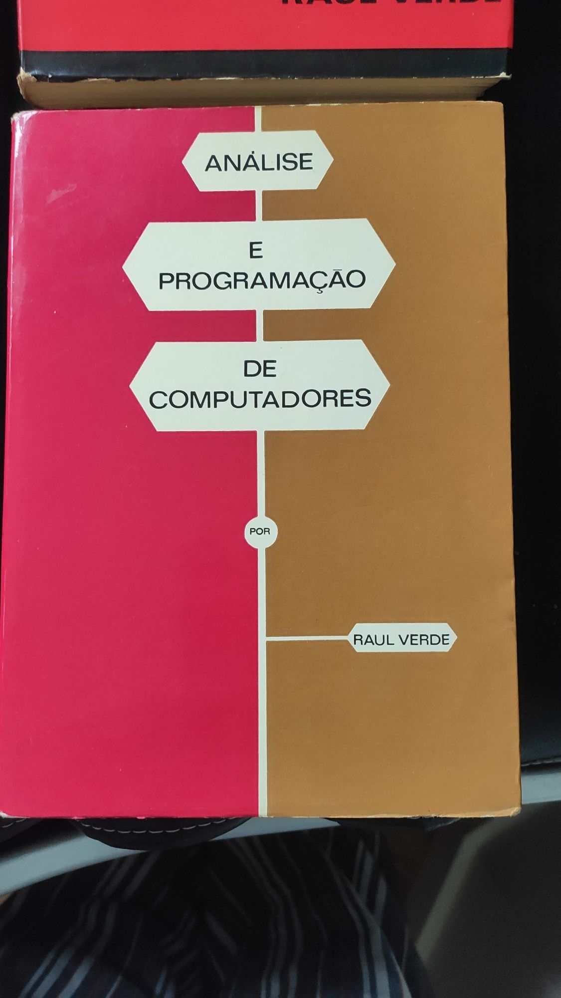 Lote de livros de Informática de Raúl Verde