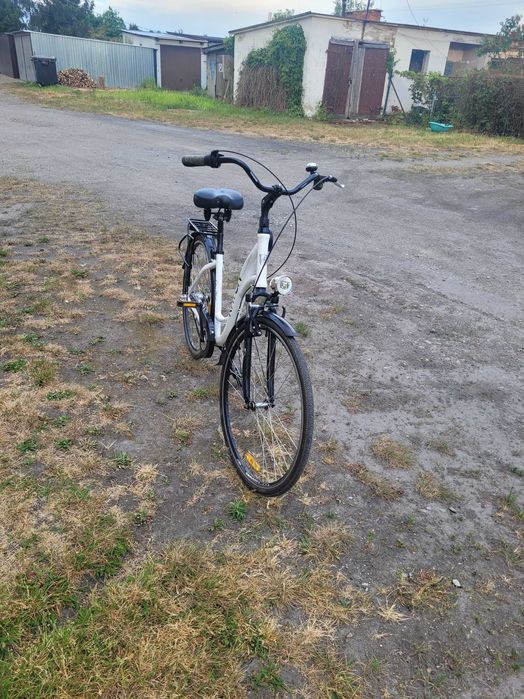 Rower miejski 28" RAYON AVENA UNIVERSAL holenderski