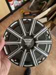 Tampas derby Harley Davidson