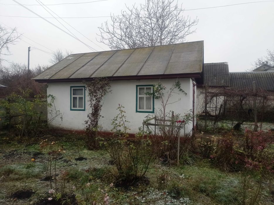 Капітальний будинок в с. Товстоліс 8 км від Чернігова