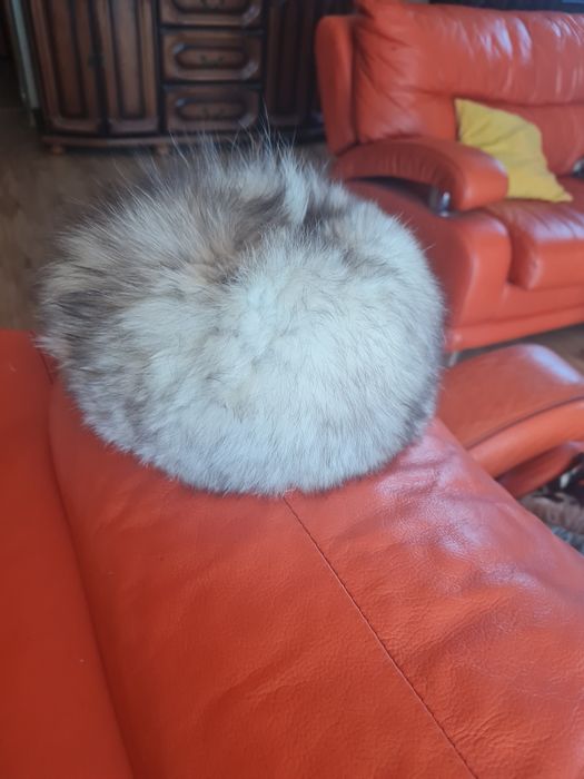 Czapka z lisa białego naturalna