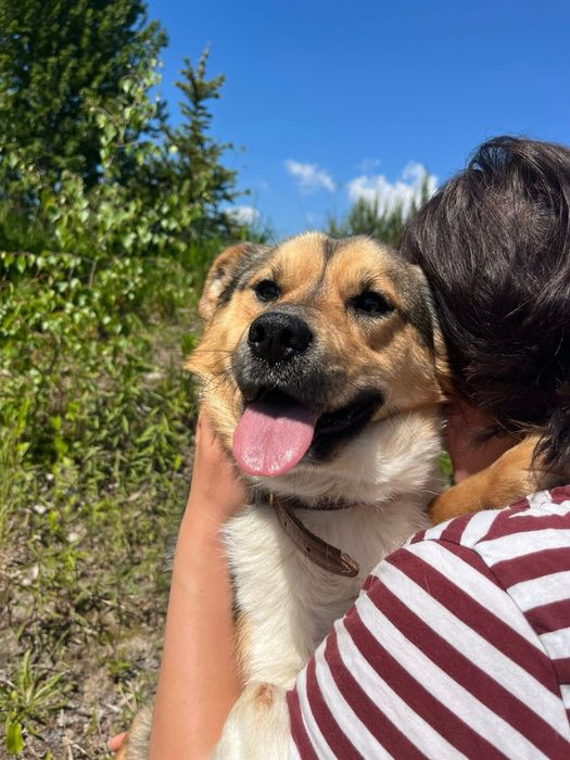 Parys błaga o dom !