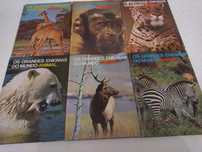 Os Grandes Enigmas do Mundo Animal - 6 Livros