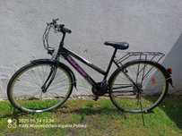 Rower damski Olpran