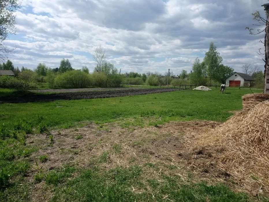 Продається ділянка в с.Садки площею 20 соток