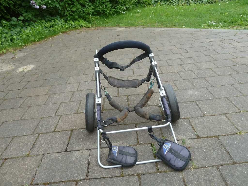 Wózek inwalidzki  dla psa