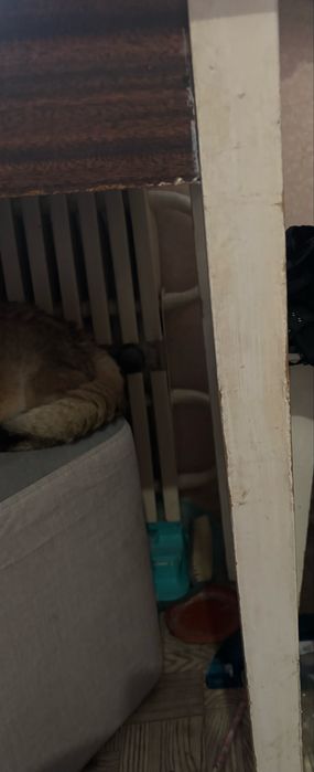 Подарую обідній стіл. Хортицький рн