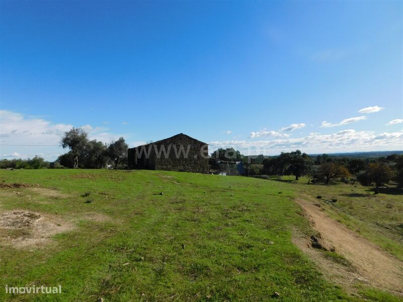 Quinta T1 / Fundão, Vale Prazeres